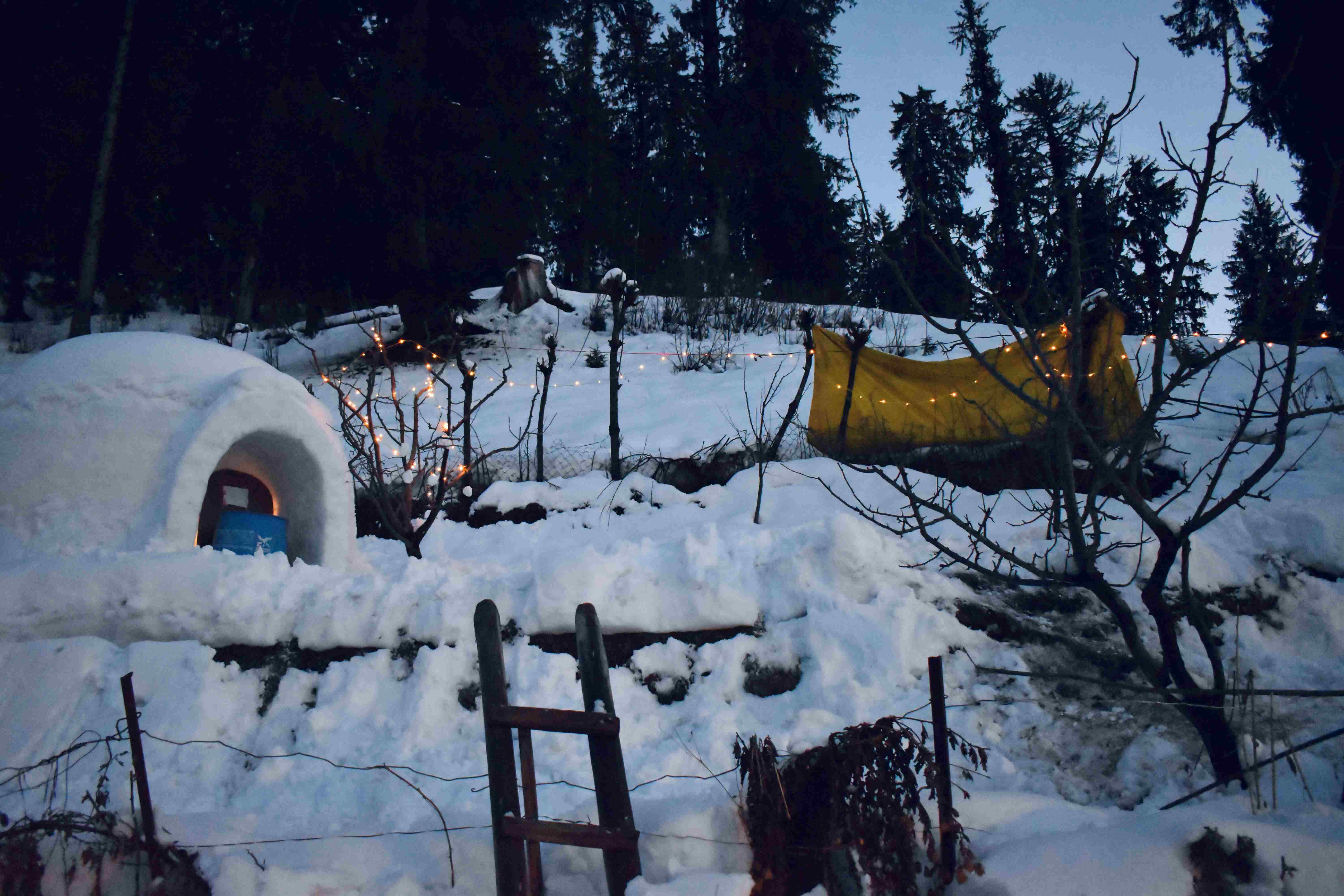 Manali Honeymoon Package